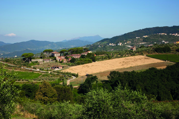 tenuta