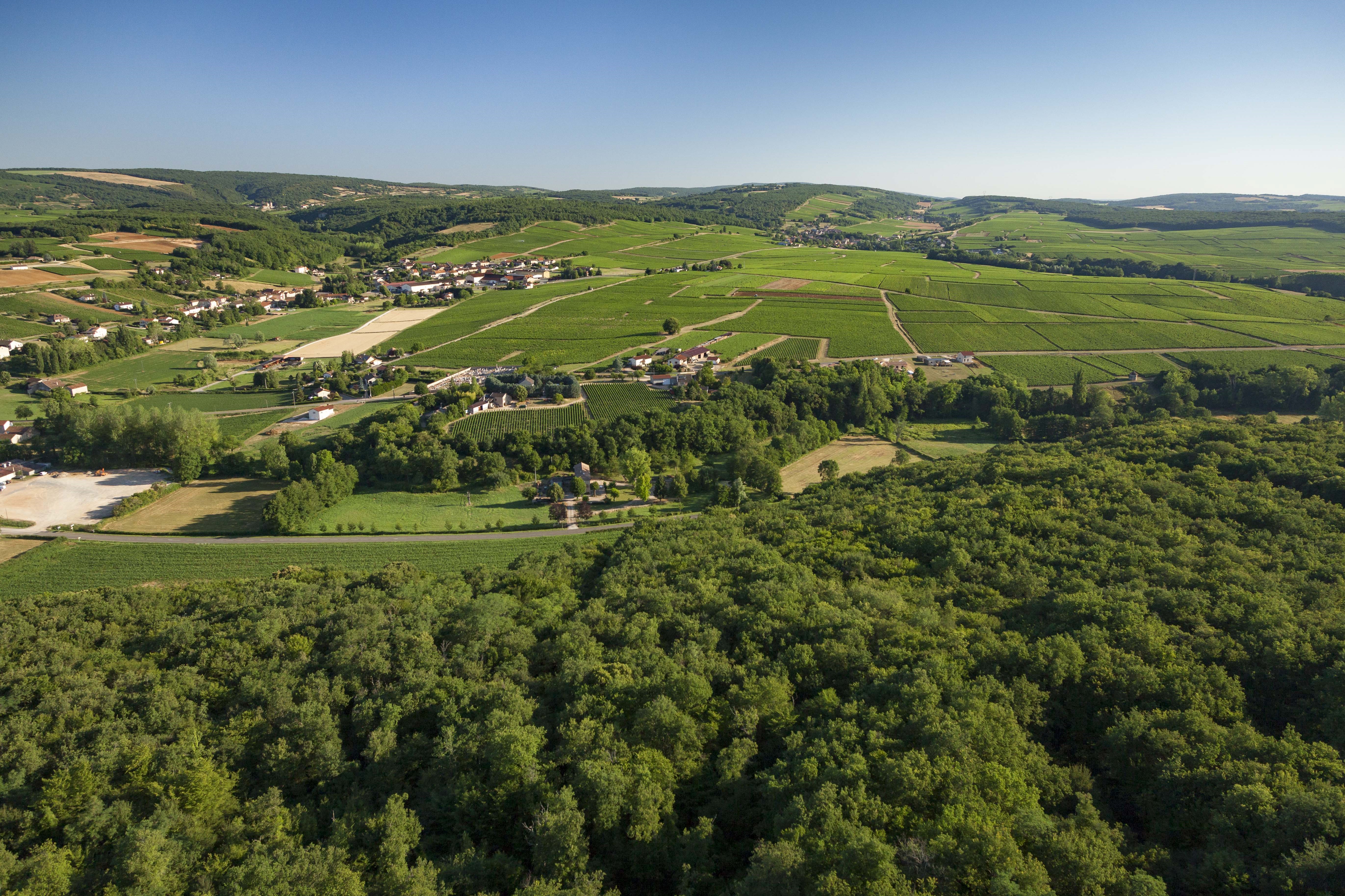 Landschaft