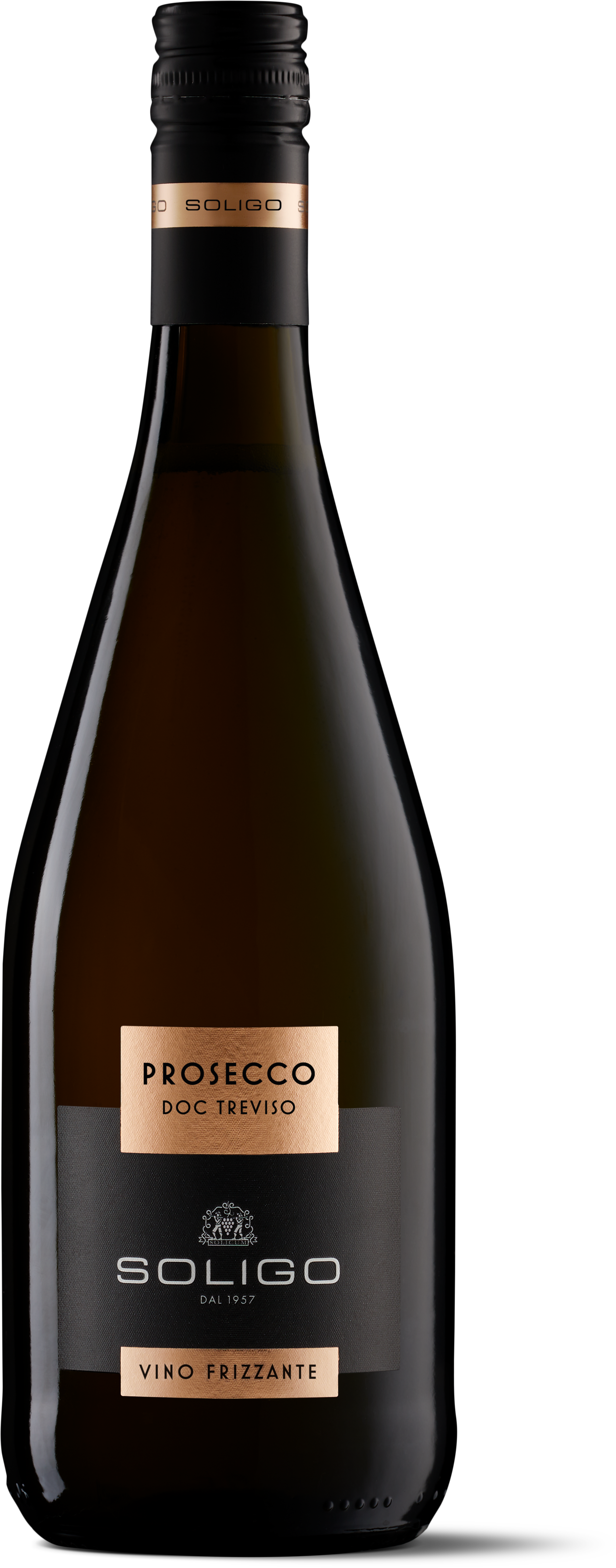 Prosecco Frizzante Treviso DOC Soligo