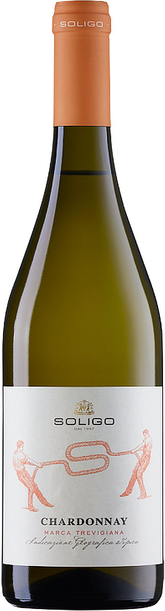 Chardonnay Marca Trevigiana IGT Soligo 2024