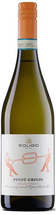 M_m_pinot-grigio-st