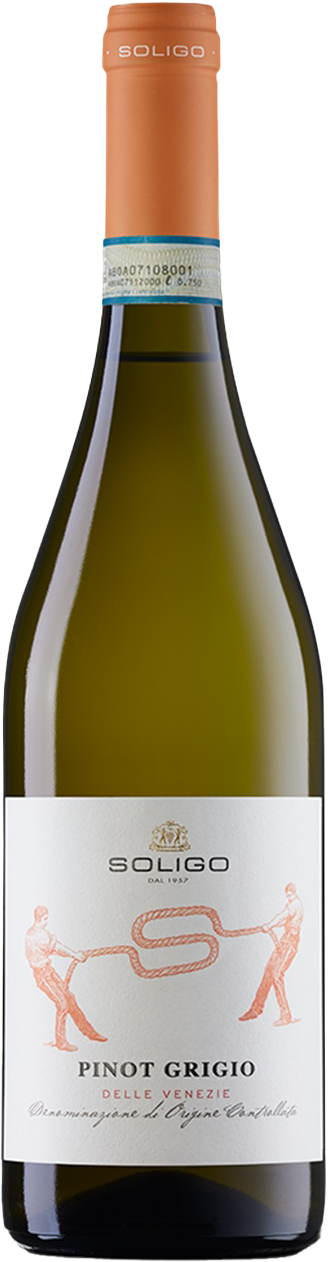 Pinot Grigio delle Venezie DOC Soligo 2025