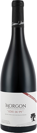 Morgon - Côte du Py Réserve AC 2023