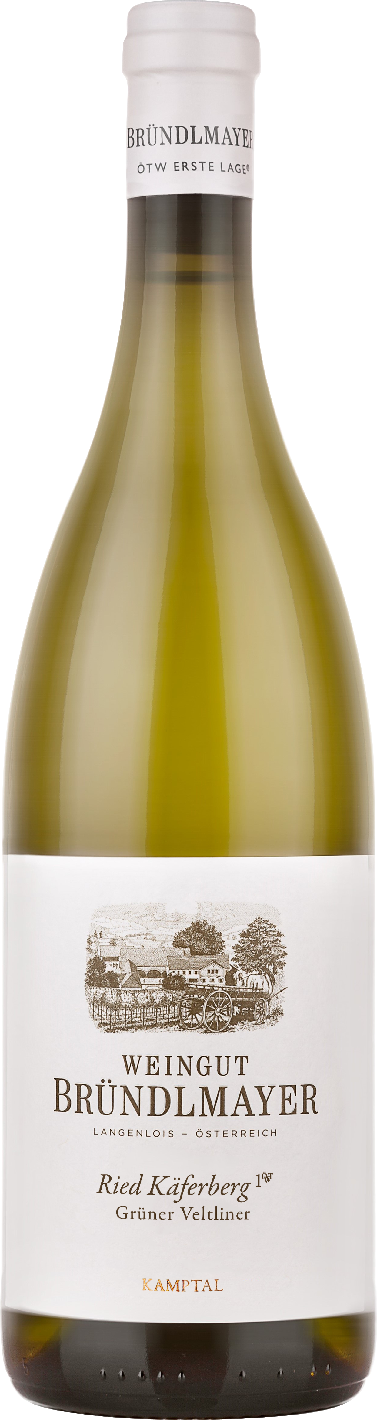 Grüner Veltliner Käferberg Erste Lage DAC 2022