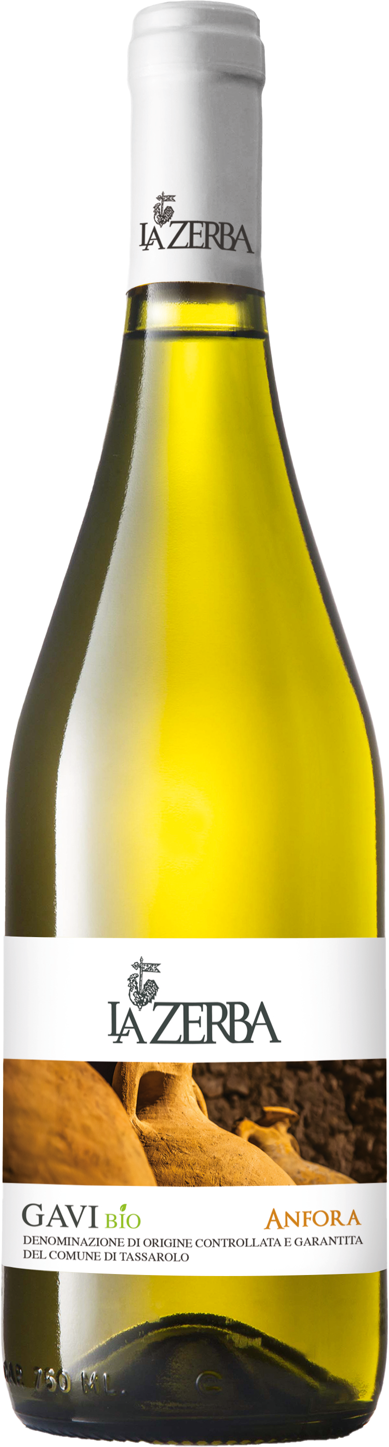 Gavi Bio Anfora - La Zerba DOCG 2022