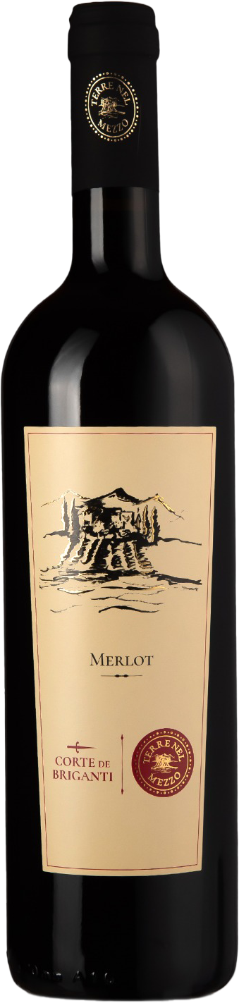 Merlot Selezione - Terre di Chieti IGP 2024