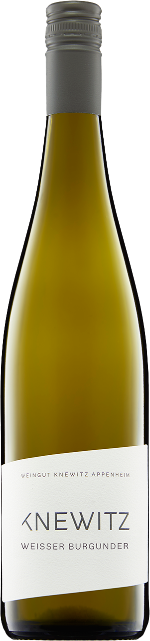 Weissburgunder Gutswein - Knewitz 2024