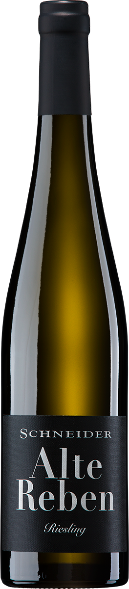 Riesling Alte Reben - Schneider 2025