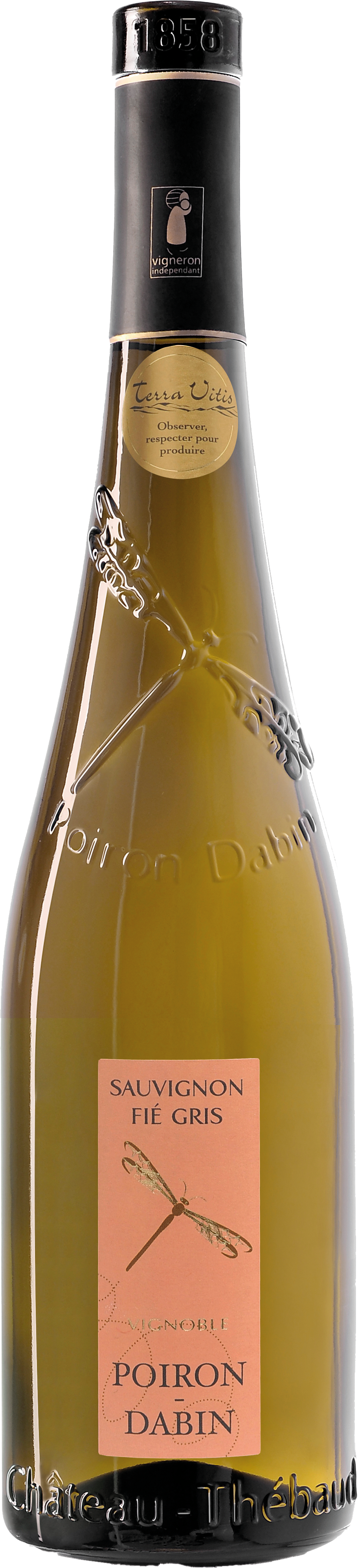 Sauvignon Blanc 'Fié Gris' IGP 2025