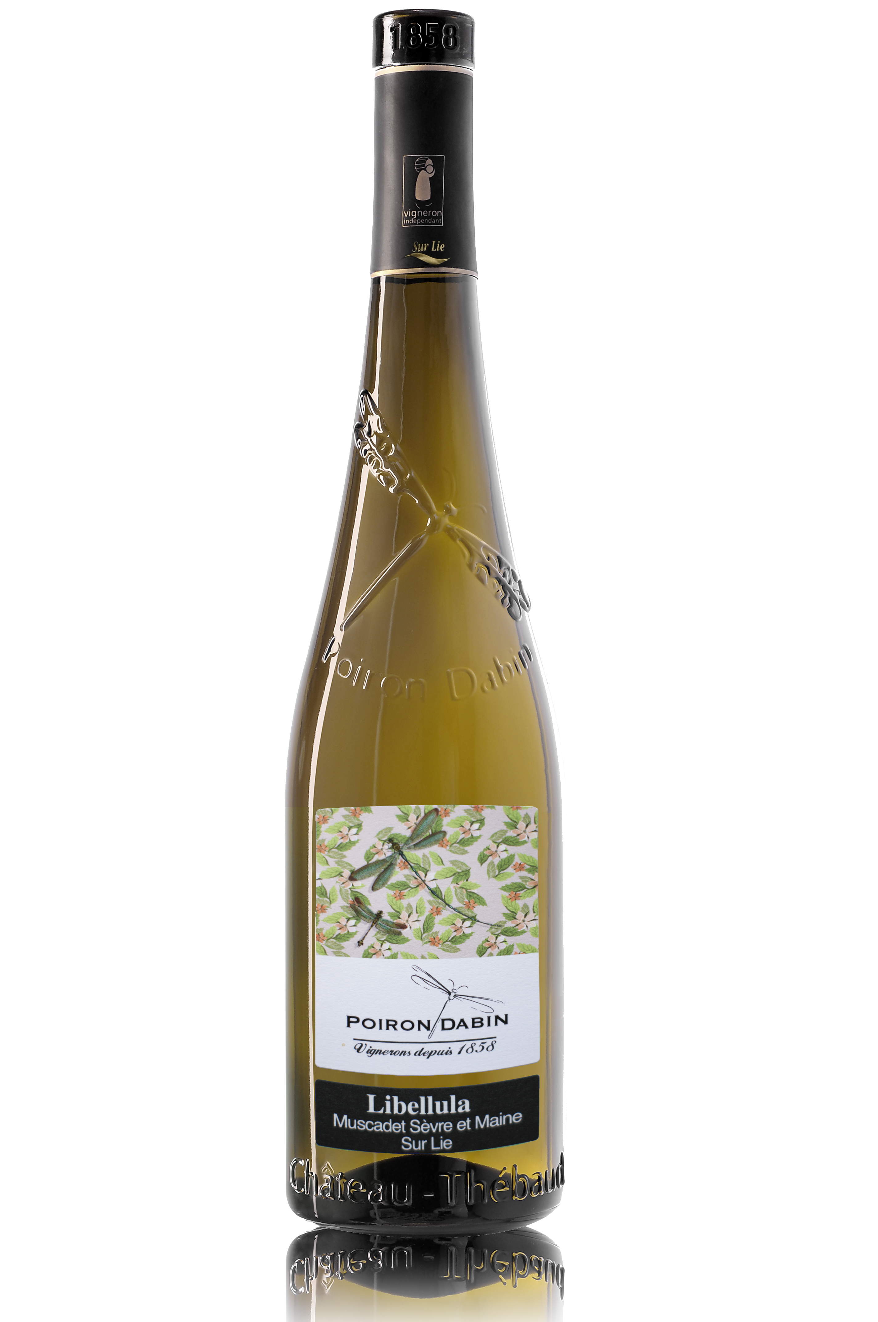 Muscadet Libellula