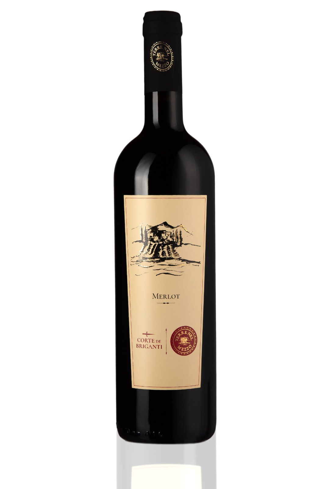 Merlot Selezione - Terre di Chieti IGP 2023