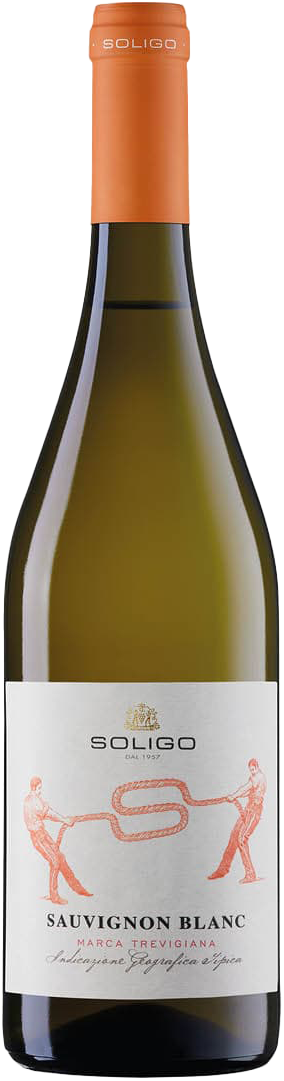 Sauvignon Blanc Marca Trevigiana IGT Soligo 2025
